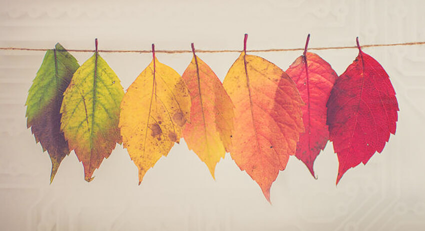 digital-transformation-mistakes-and-how-to-fix