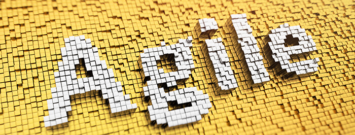 The Road to CI/CD – A Short History of Agile Development