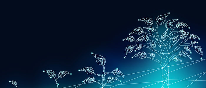 Is Your Organization Ready to Evolve Digital?
